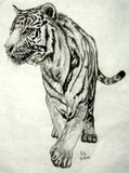 by Elizabeth Butler