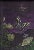 by Tammie Temple