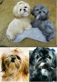by Custom Pet Sculptures by Circe
