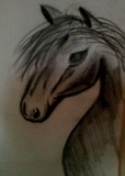 by Fatima  Sakhawat 