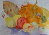 by Irina Stroup