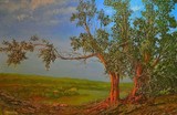 by michael mrozik