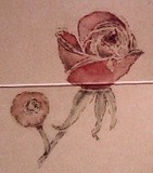 by Dana Koffenberger