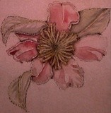 by Dana Koffenberger