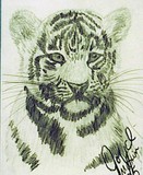 by Joyce Drakeford