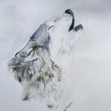 by Melanie  Smith