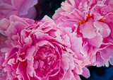 by Karin Winter