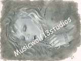 by Chris Van Horn-Musicwolf13studios