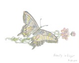 by Nancy Tews