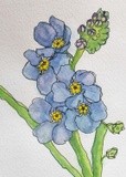 by Zuzi Petals & Pics
