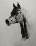 by Monica Burtley