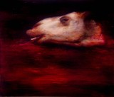 by Maya Kulenovic