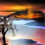 by Anne Vis