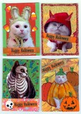by Angie Waszkiewicz