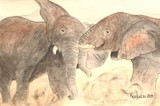 by Nancy Woolweber