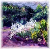 by Elizabeth Teed