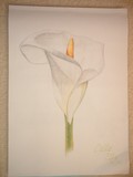 by Anna Smith