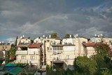 by Nira Dabush