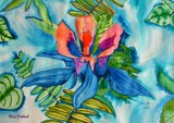 by Nira Dabush