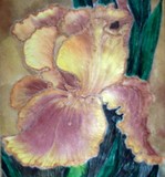 by Tanya Antimirova