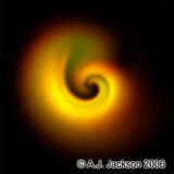by Andrew Jackson