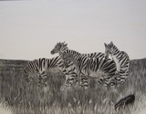 by Faith Bengtson