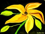 by Analua 