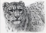 by Svetlana Ledneva-Schukina