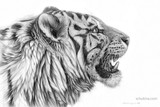 by Svetlana Ledneva-Schukina