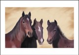 by Lori Waits