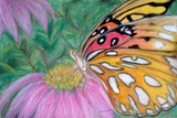 by sandy lippitt