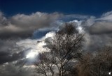 by DAVID GRIFFITHS