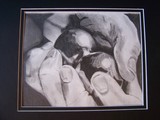 by Luther Krider