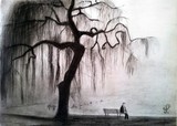 by Maria Paola Di Santo