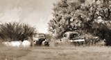 by susan  kinney