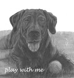 by Phyllis Gerben