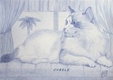 by Cybele Chaves