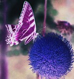 by Kasey Barber
