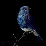 by Heather Ward