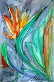 by Tahany El Banna