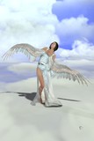 by Ben Vienerius
