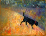 by Ileen Kaplan