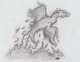 by Amanda DeMaio
