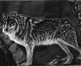 by Diane Sleger