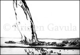 by Kristen Gavula