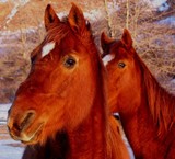 by Old Barn 