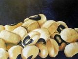 by Cathy Savels