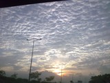 by mansi tewari