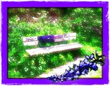 by Gabrielle Marie
