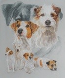 by Barbara Keith